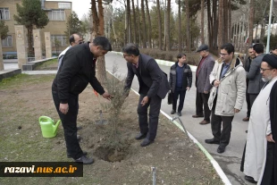 برگزاری آیین درختکاری در دانشگاه ملی مهارت استان خراسان رضوی 3