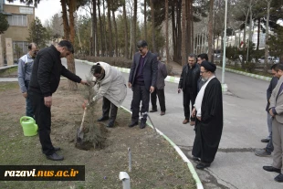 برگزاری آیین درختکاری در دانشگاه ملی مهارت استان خراسان رضوی 4