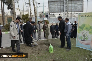 برگزاری آیین درختکاری در دانشگاه ملی مهارت استان خراسان رضوی 5