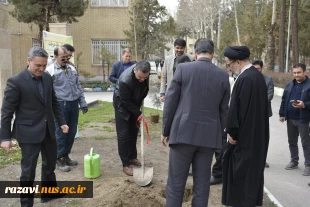 برگزاری آیین درختکاری در دانشگاه ملی مهارت استان خراسان رضوی 7